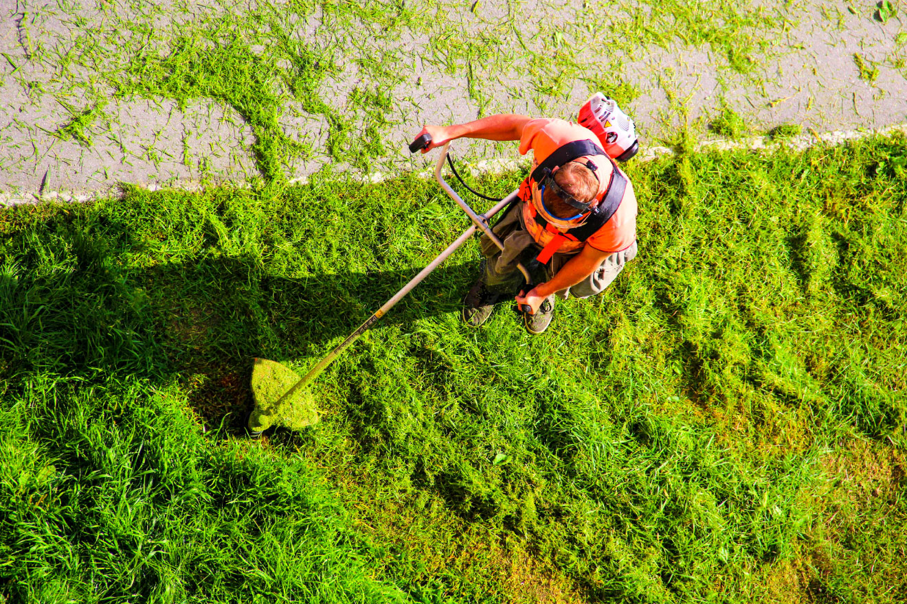 Mowing & Edging